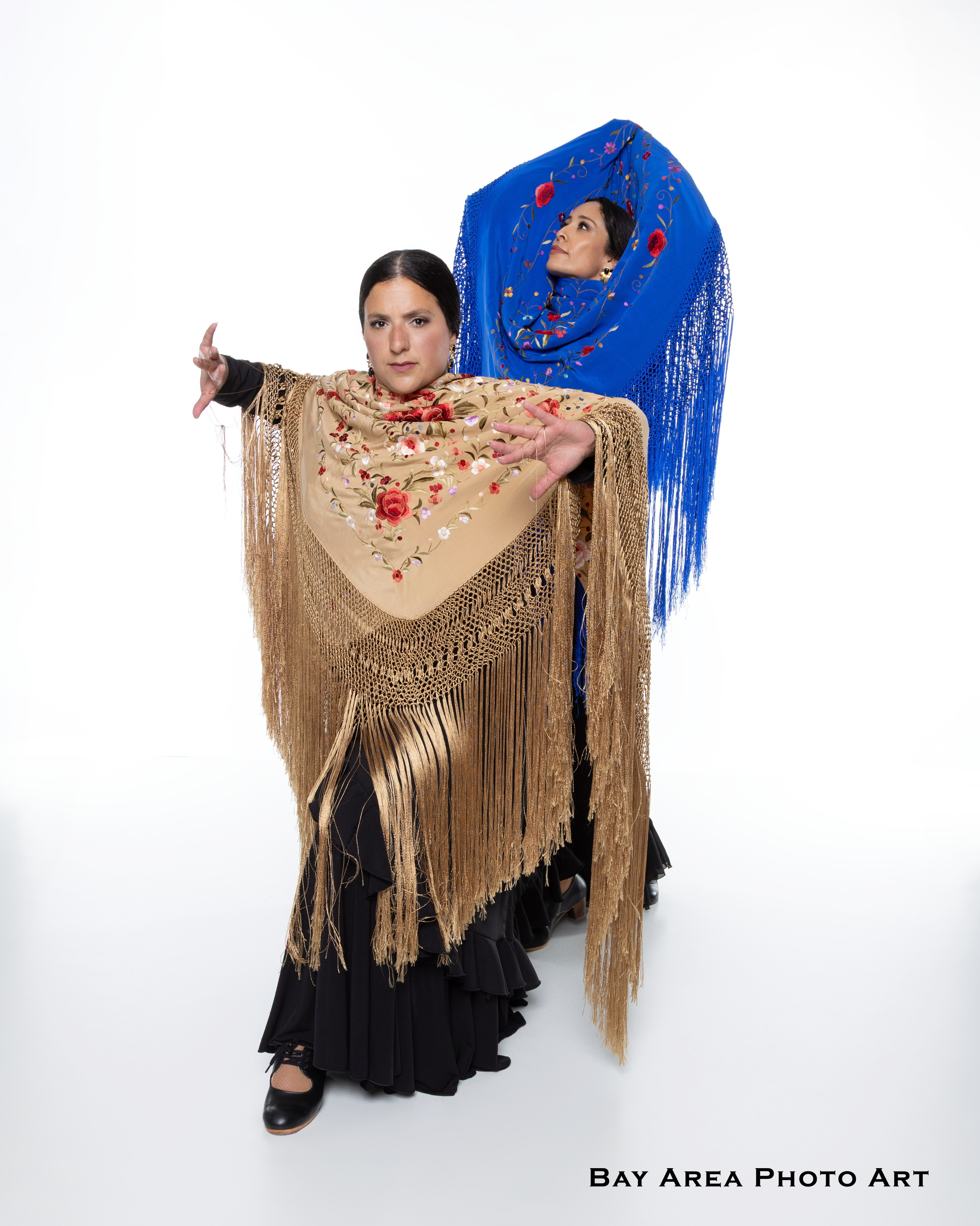 Arteritano Flamenco Company &mdash; Mant&oacute;n de Manila